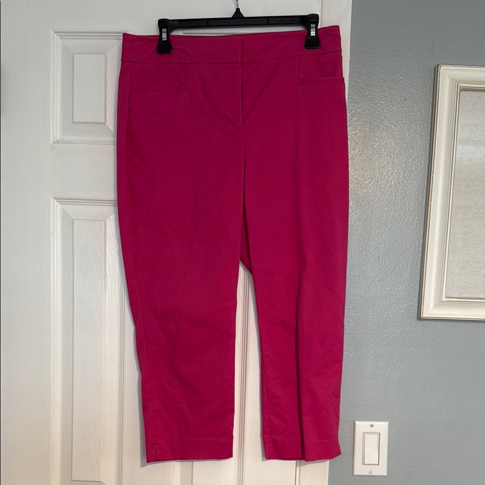 Ann Taylor Factory Pink Capris Slim Fit